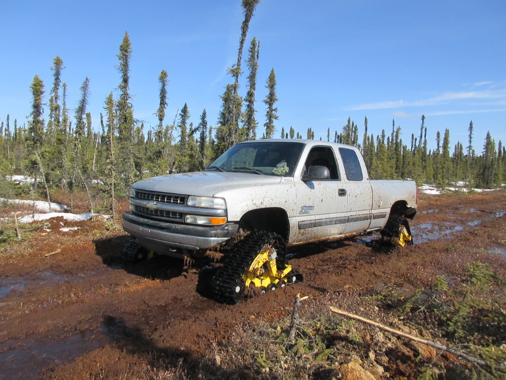 muskeg picture